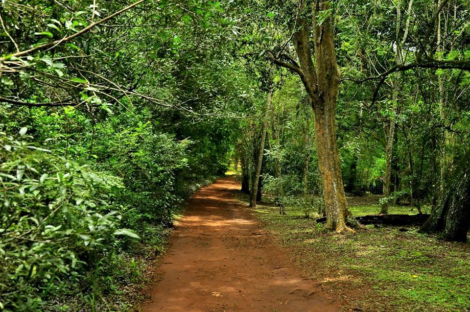 Kareem Forest Park Kasaragod attractions