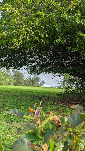 Posadi Gumpe  Kasaragod history